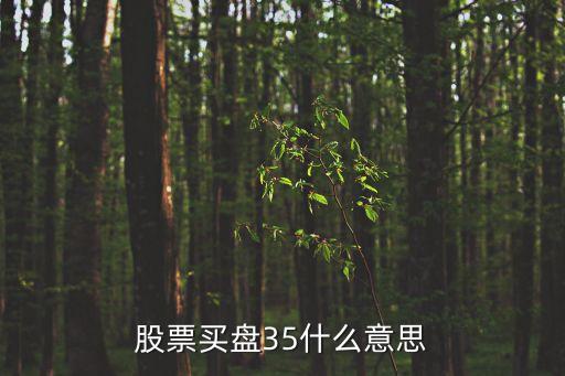 股票买盘35什么意思
