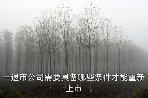 一退市公司需要具备哪些条件才能重新上市