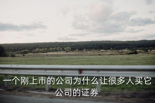 一个刚上市的公司为什么让很多人买它公司的证券