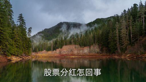 为什么股票买了后还要分红，股票分红是怎么回事
