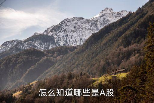 看股名都知道什么股票，只知道股东的帐号可以知道是什么股么