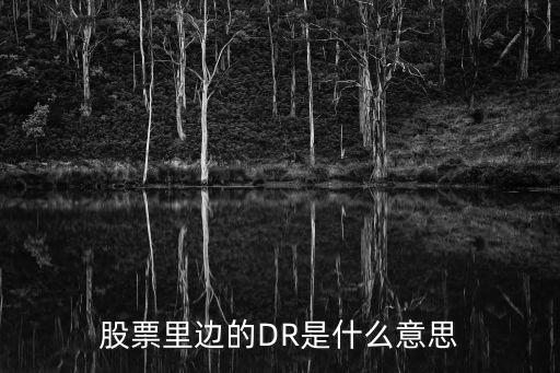 股票里边的DR是什么意思