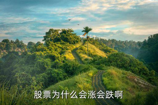 为什么大涨后股票会下滑，个股为何开盘后拉起创新高后就逐渐回落说明什么