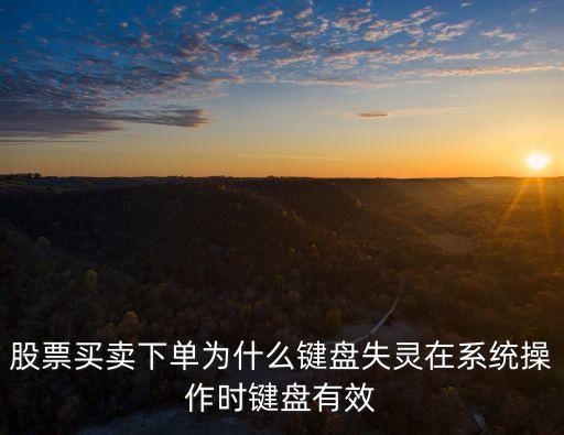 股票下单没反应什么原因，股票为什么买了没反应