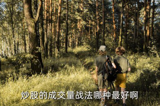 炒股的成交量战法哪种最好啊