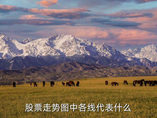 股票走势图中各线代表什么