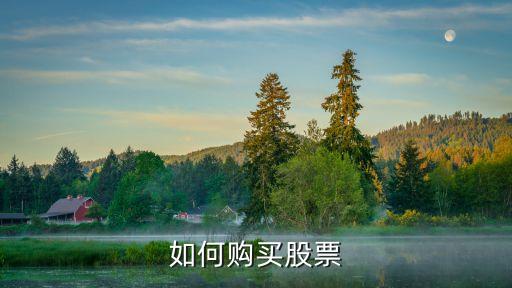 如何购买股票
