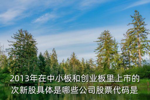 2013年在中小板和创业板里上市的次新股具体是哪些公司股票代码是