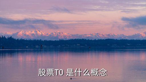股票T0 是什么概念