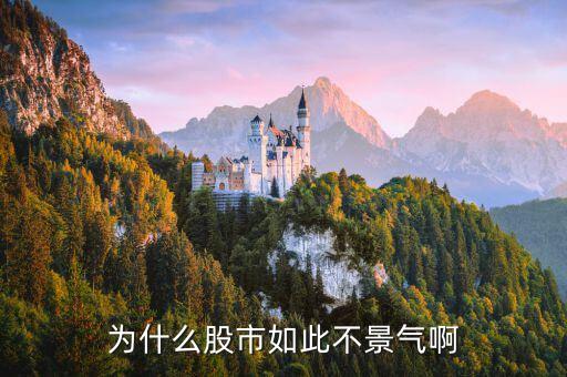 为什么股市如此不景气啊
