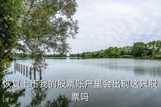 什么股票会加入股市账户，沪深两市新开A股账户什么意思
