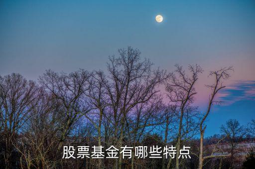 股票基金有哪些特点