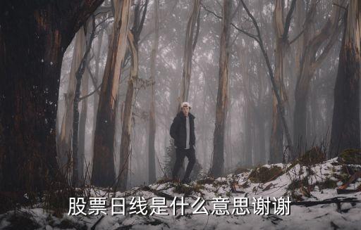 股票日线高位什么意思图片，股票日线是什么意思谢谢
