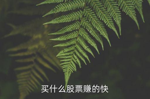 买什么股票赚的快