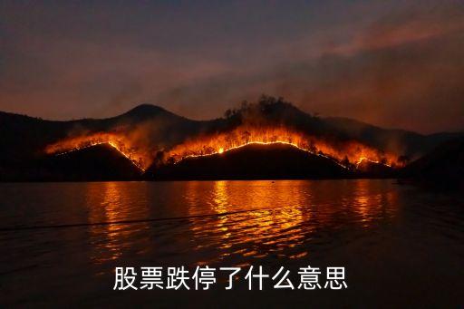 其它股票跌停什么意思呀，股市中说的跌停是什么意思