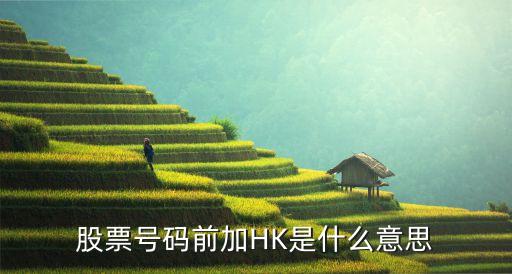 股票号码前加HK是什么意思