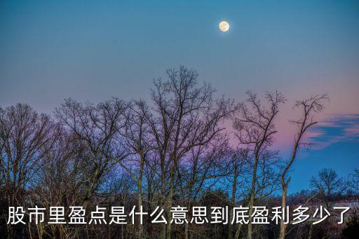 股市里盈点是什么意思到底盈利多少了