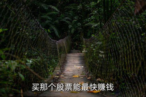 什么股票跑得快可以赚钱，买什么股票能赚钱
