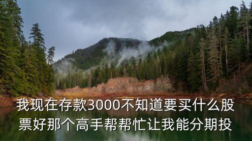 我现在存款3000不知道要买什么股票好那个高手帮帮忙让我能分期投
