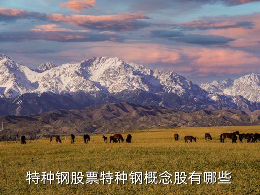 特种钢股票特种钢概念股有哪些