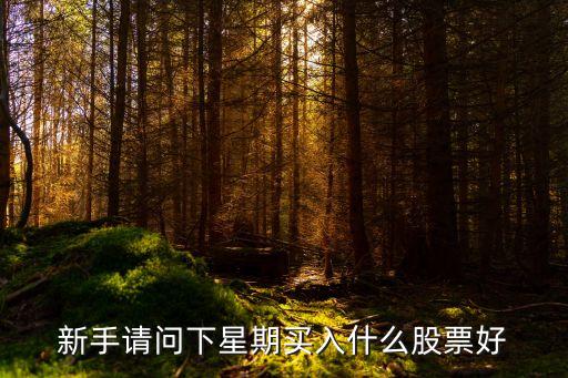 新手请问下星期买入什么股票好