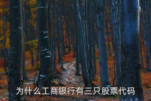 为什么工商银行有三只股票代码