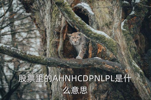 股票里的AHNHCDPNLPL是什么意思