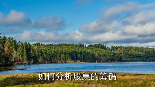 股票里的底部筹码是什么，如何分析股票的筹码