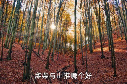 潍柴与山推哪个好