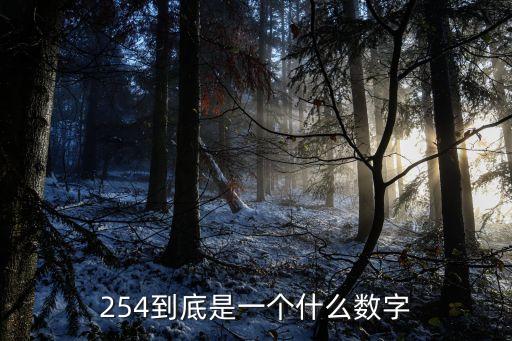 254到底是一个什么数字