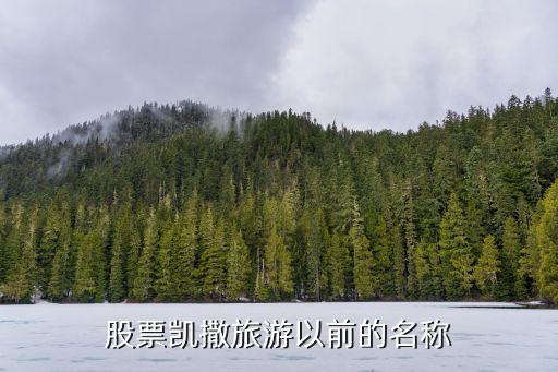 股票凯撒旅游以前的名称