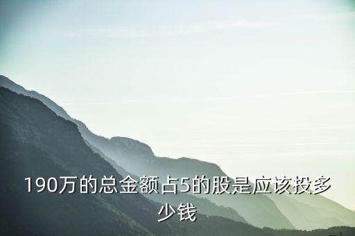 190万的总金额占5的股是应该投多少钱