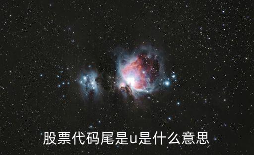 股票代码尾是u是什么意思