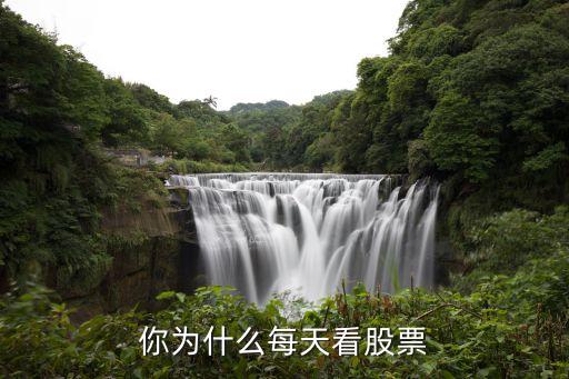 你为什么每天看股票
