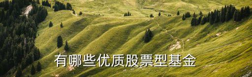 有哪些优质股票型基金