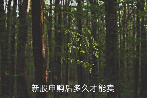 新股申购后多久才能卖