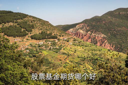 为什么期货比股票基金好，股票基金期货哪个好