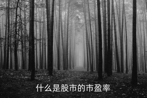 什么是股市的市盈率