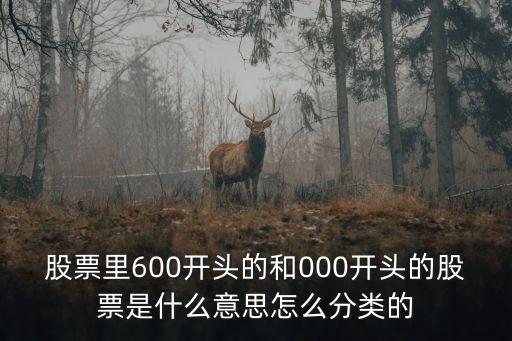 股票里600开头的和000开头的股票是什么意思怎么分类的