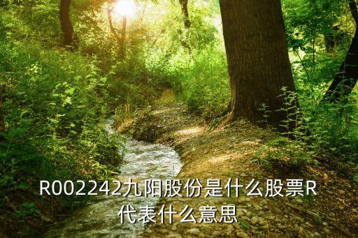 R002242九阳股份是什么股票R代表什么意思