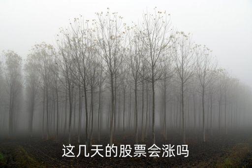 这几天的股票会涨吗