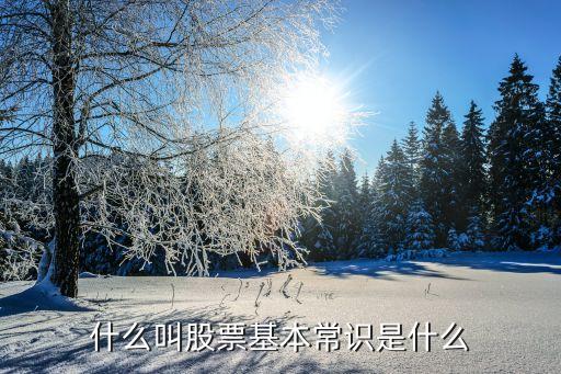 什么叫股票基础知识入门，什么叫股票基本常识是什么