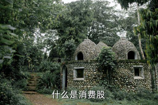 什么是消费股