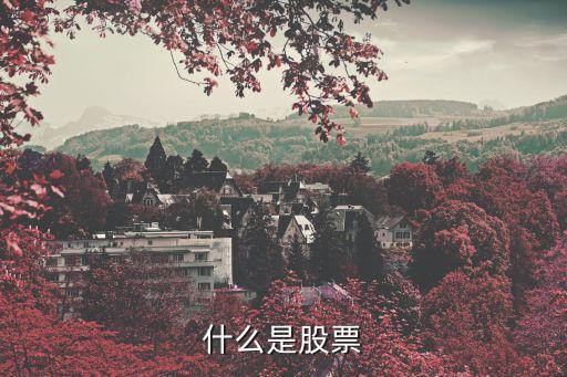 什么是股票哈佛财商课，什么是股票