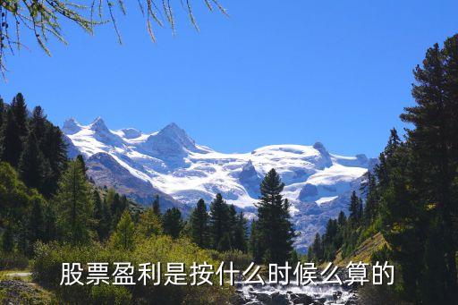 股票盈利是按什么时候么算的