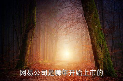 网易公司是哪年开始上市的