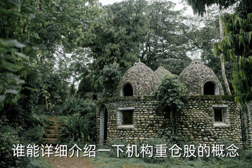 谁能详细介绍一下机构重仓股的概念