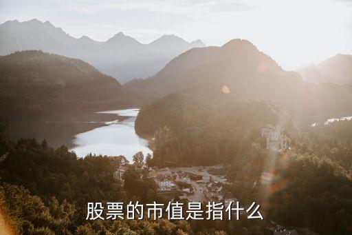 股票的市值是指什么