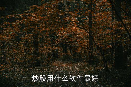 炒股用什么软件最好