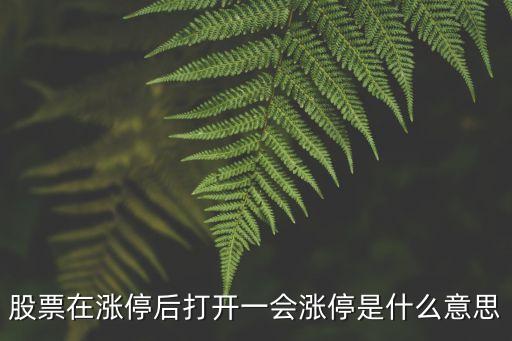 股票在涨停后打开一会涨停是什么意思